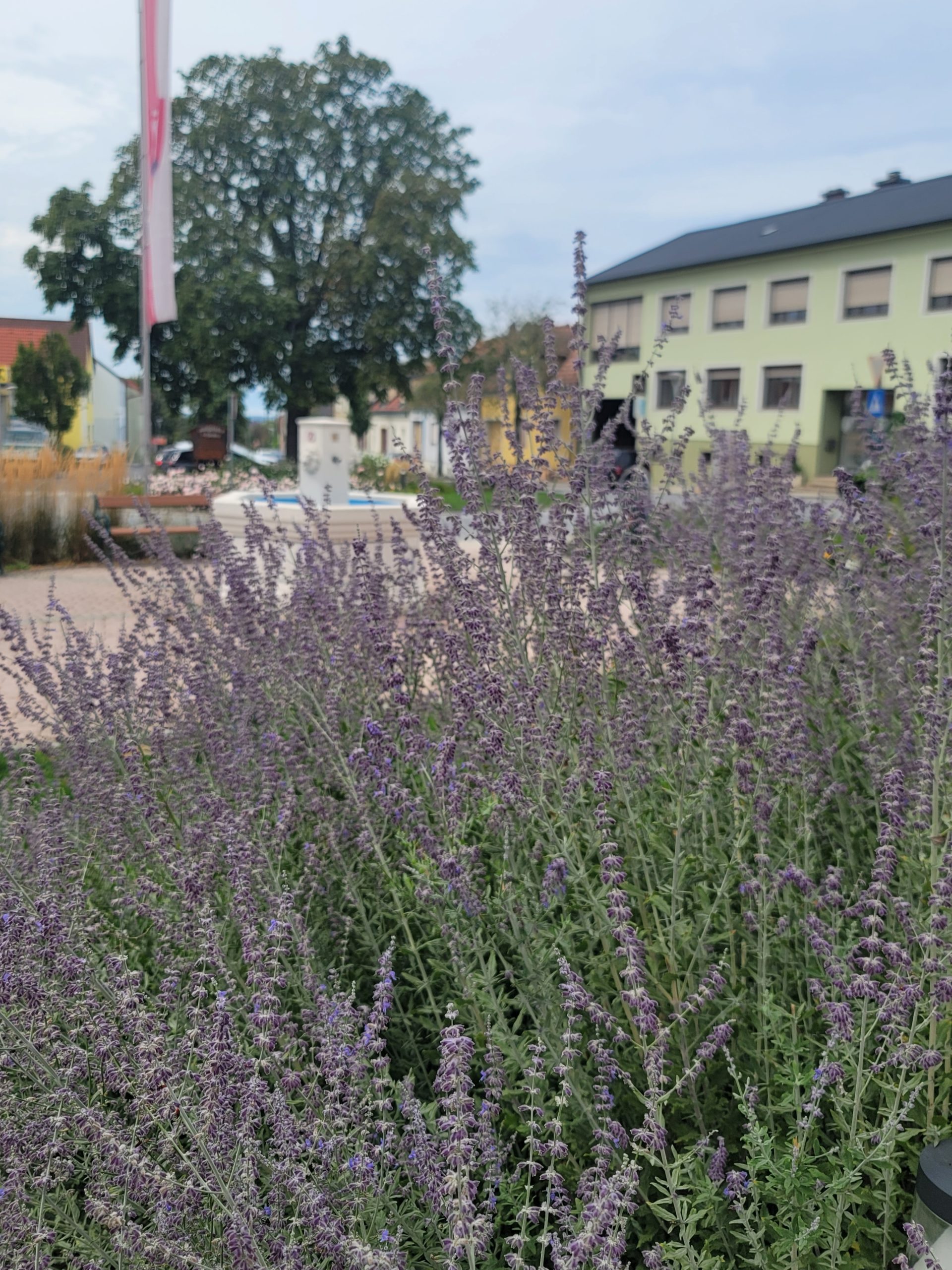 Gemeinde Hornstein hausgeschichten