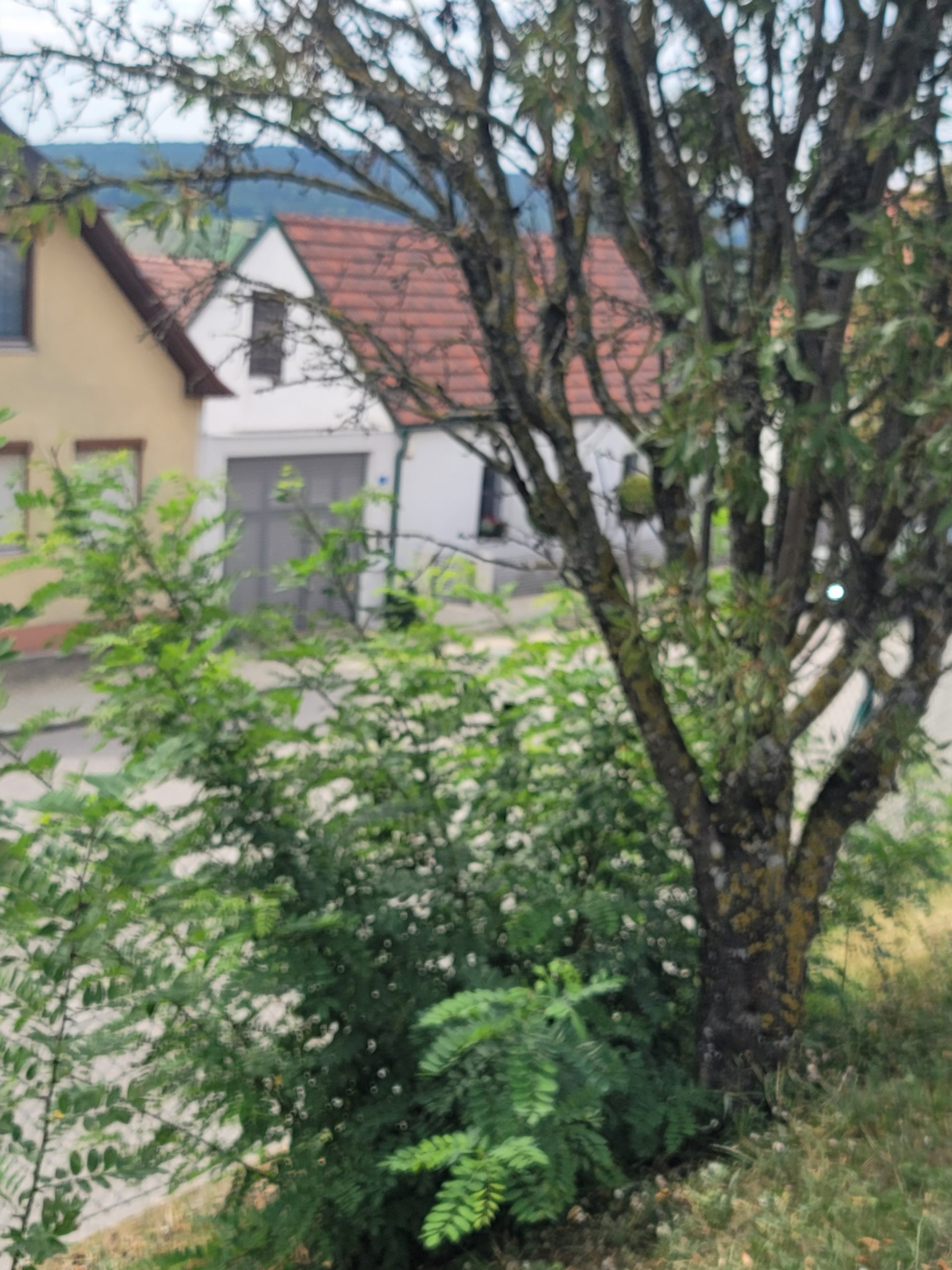 Gemeinde Großhöflein hausgeschichten